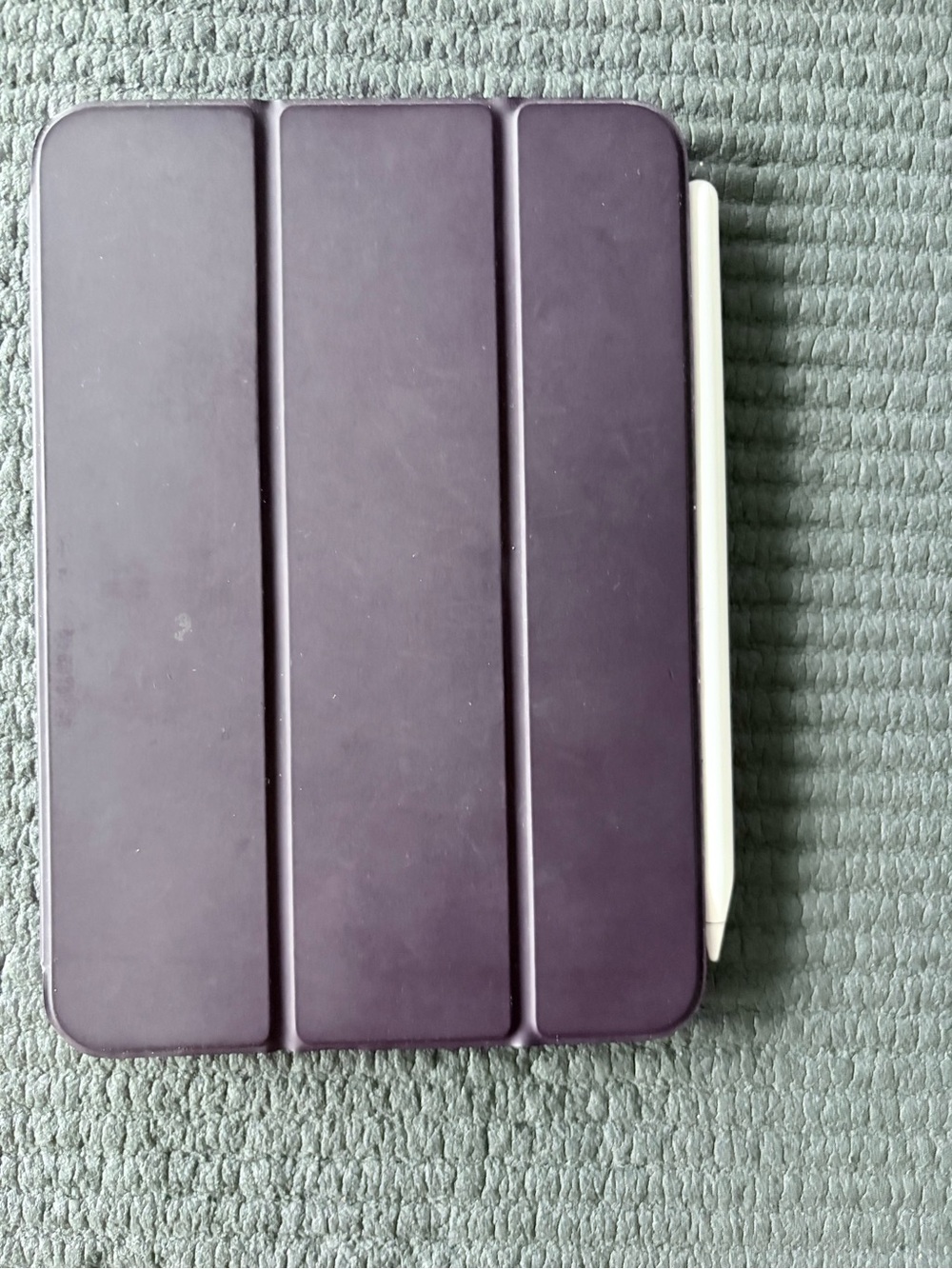 Apple Purple IPad mini 6, 256 GB with Apple Pencil, Smart Cover and charger